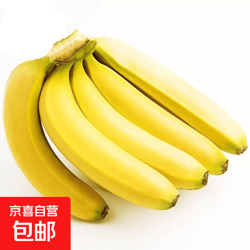 广西甄选高山香蕉新鲜当季水果青香蕉自然熟普通惊喜香甜软糯 香蕉青蕉发货 带箱 1斤