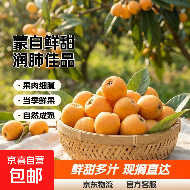 云南蒙自甜枇杷新鲜水果当季长虹琵琶枇杷现摘树上熟整箱 净重5斤尝鲜装（单果重30克+）