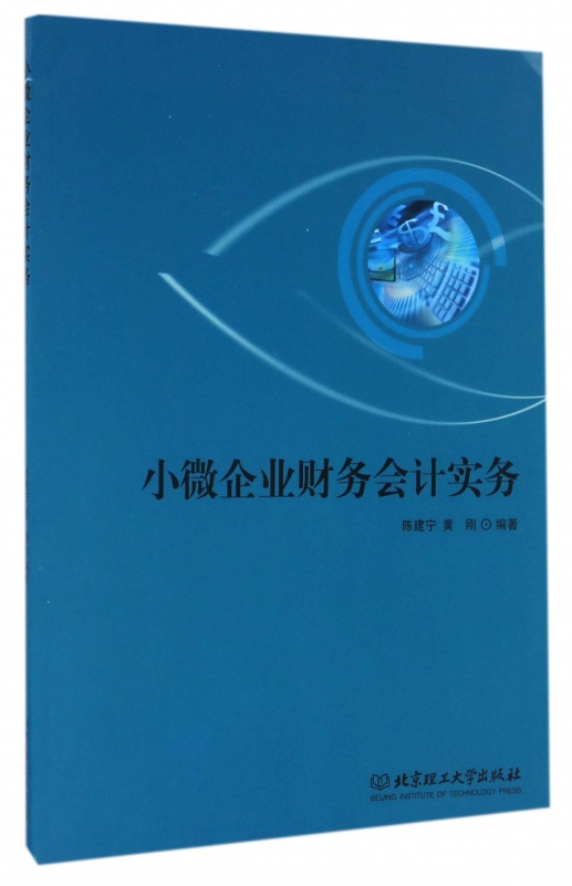 小微企业财务会计实务