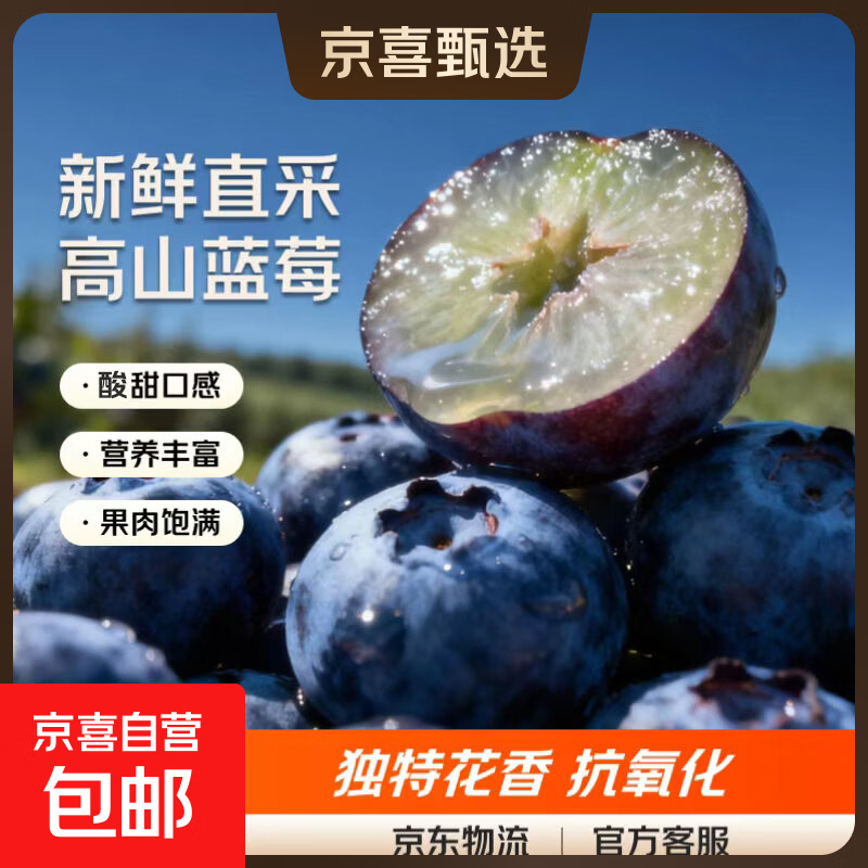 京喜加云南国产蓝莓新鲜蓝莓 精选水果生鲜新鲜采摘单盒净重115g 12盒装 多买多划算【115g/盒】 精选大果【单果18mm+】