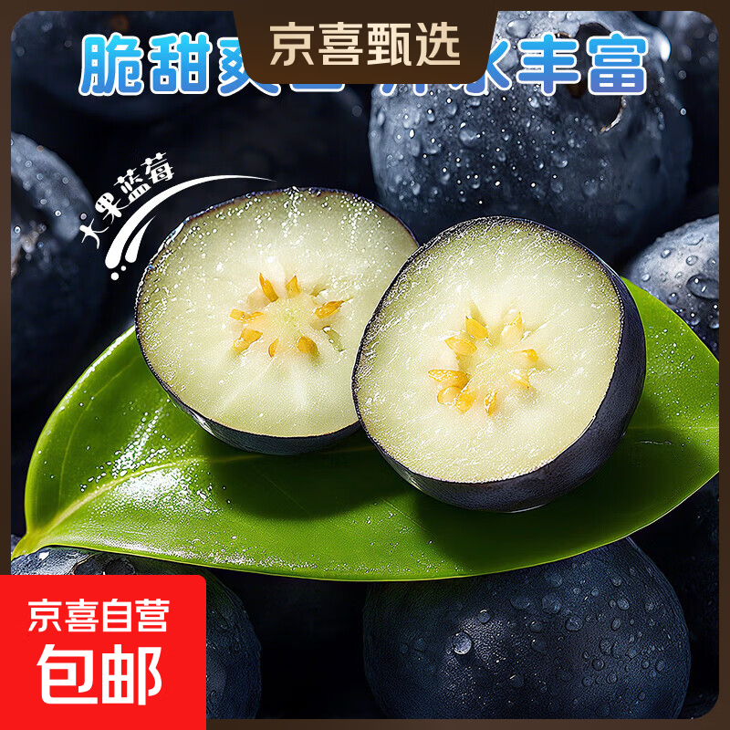 云南国产蓝莓【JD快递多地次日达】超大果蓝莓 精选孕妇新鲜水果 2盒装 多买多划算【90-115g/盒】 中果【单果15mm+】