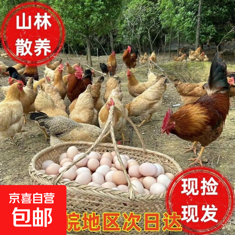 九华山土鸡蛋山林散养营养谷物40g+早餐溏心蛋富硒产区京东包邮 富硒产区土鸡蛋20枚（京东快递）