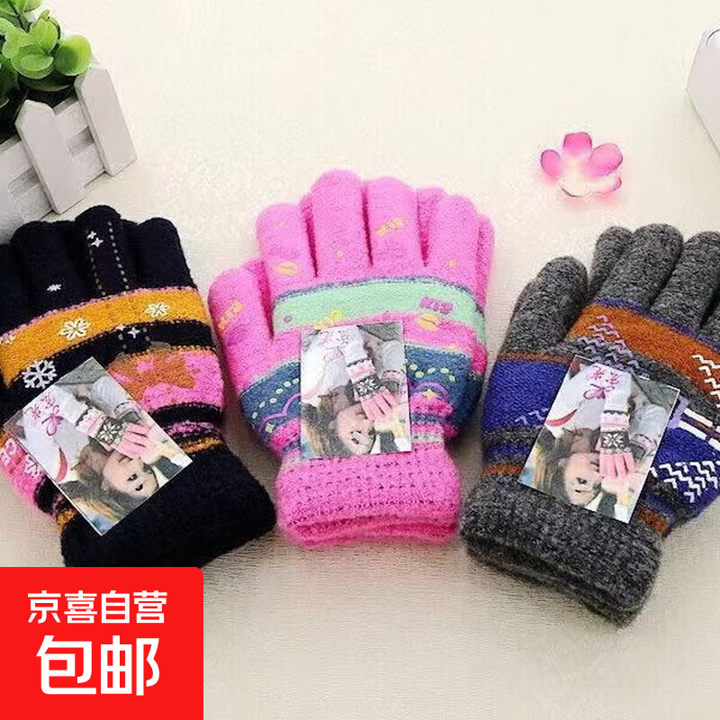 摩托车手套双层加绒加厚防寒保暖手套户外骑行秋冬运动电动车手套 马海毛女士【双层】颜色随机 均码