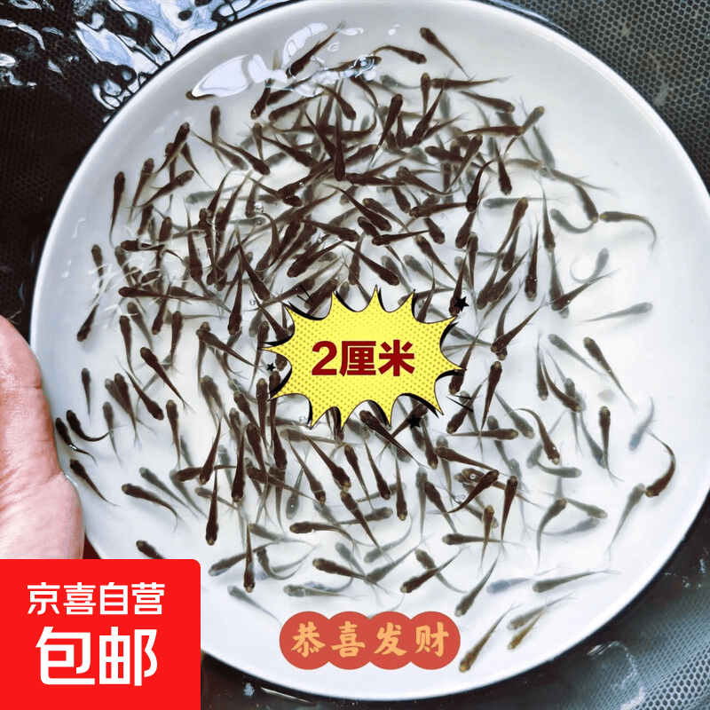 ���������� ������ С����1-2���� 50�� ��10%����3.9Ԫ/����ʮ������