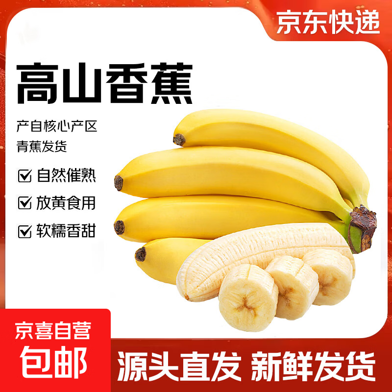 广东高山香蕉当季新鲜生鲜水果薄皮青蕉现摘现发水果源头产地直发 【9斤装】广东高山甜香蕉