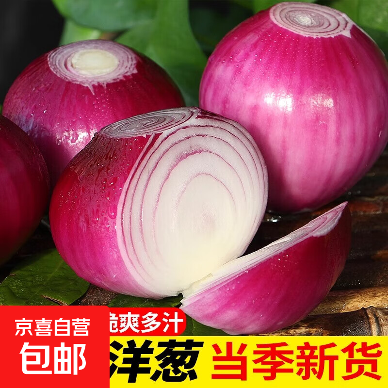 河南紫皮洋葱葱头水果圆葱新鲜农家蔬菜自种甜脆生鲜超市买菜批发 洋葱中大果带箱5斤净重4.5斤