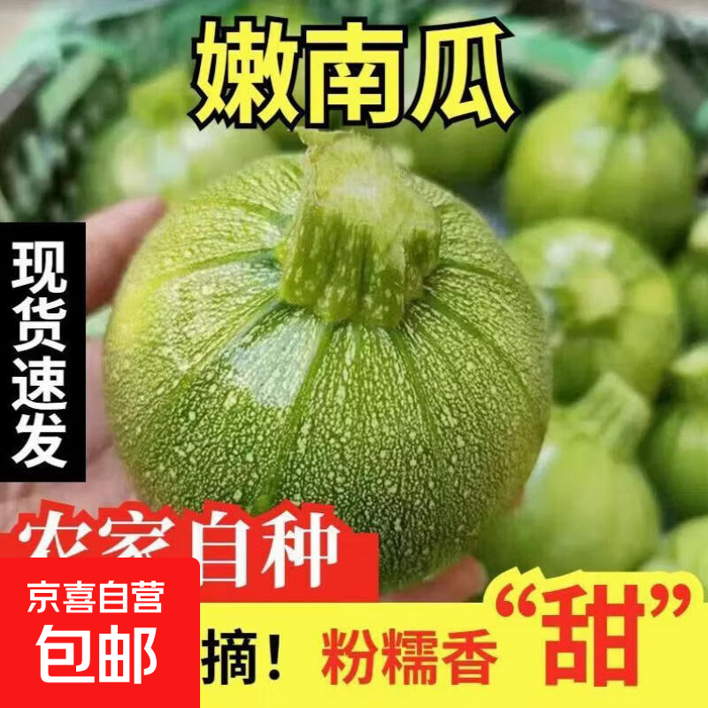京喜加【东东买菜】高山小圆瓜蔬菜当季整箱现摘农家甜瓜扁倭瓜青瓜 1000g
