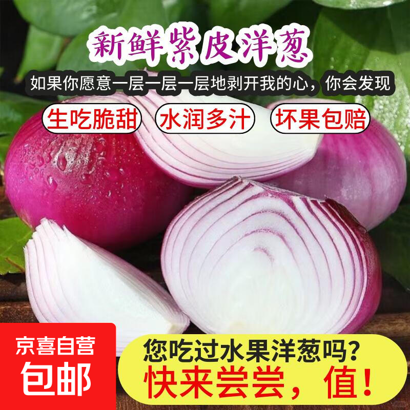 新鲜紫皮洋葱水果洋葱现挖脆甜生鲜蔬菜早餐沙拉超市买菜红洋葱 带箱2斤【好吃】