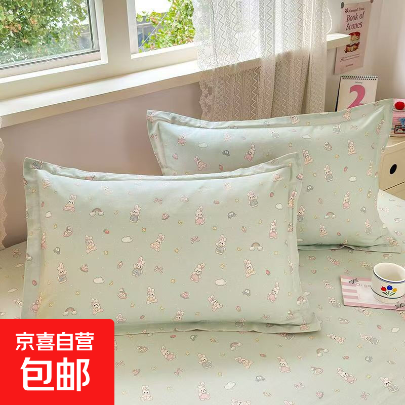 卡通清新枕套48x74枕套家用枕套四件套枕套枕头套子四季枕套一对 随机花型枕套 48x74cm枕套一只装