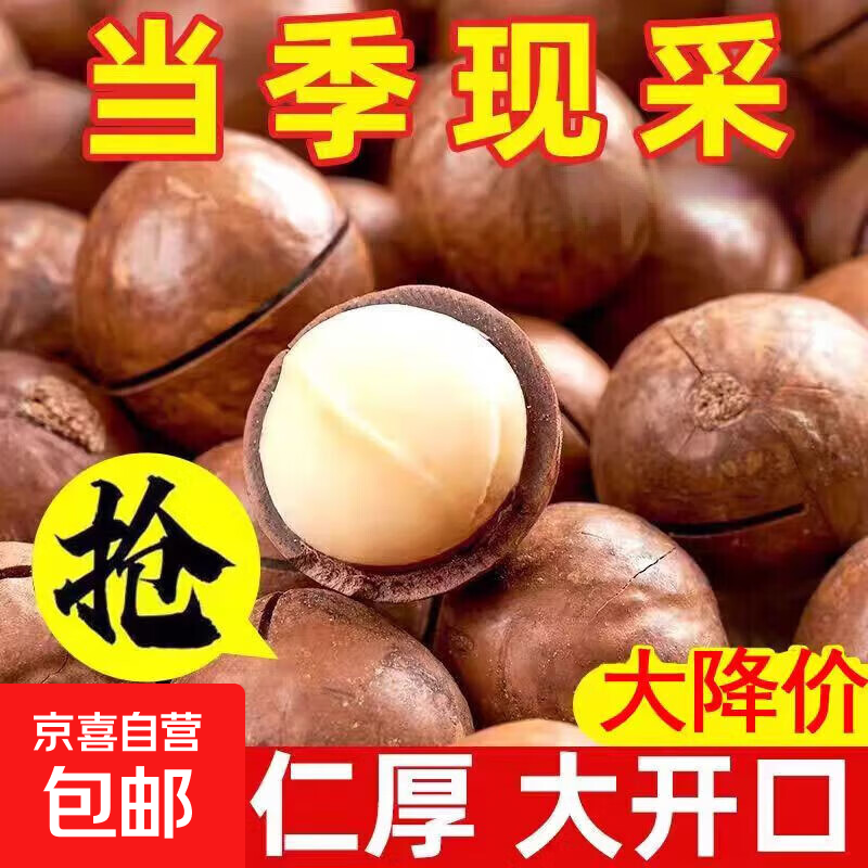 夏威夷果带壳送开口器奶油味休闲食品坚果干果每日坚果 【当季新货】夏威夷果500g*1袋（18-21mm）