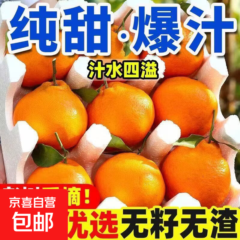 【产地直发】正宗春见耙耙柑应季新鲜现货速发整箱包邮孕妇水果 【中果65mm+】带箱2斤