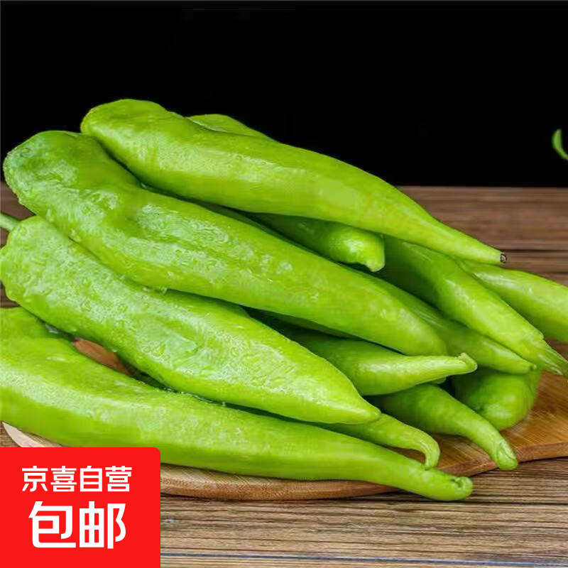 虎皮青椒菜椒做虎皮尖椒现摘新鲜微辣产地批发价 新鲜青椒1斤