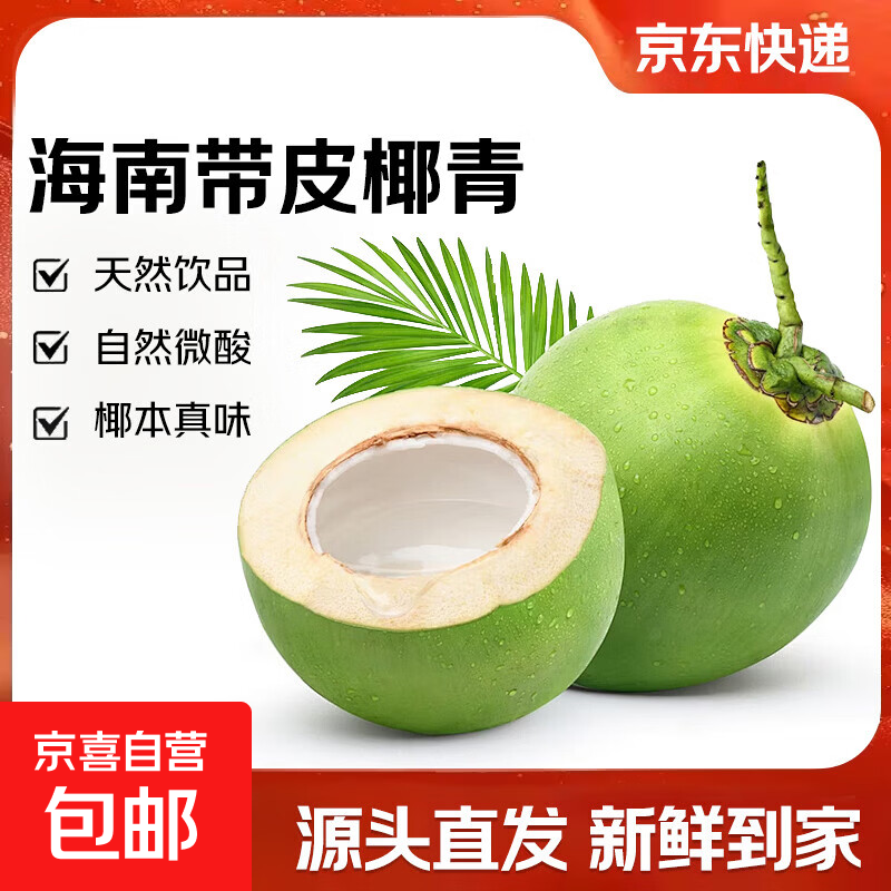 海南文昌带皮椰青单果3斤+ 新鲜椰汁椰子水电解质孕妇水果包邮H 【推荐】6个 单个3斤+
