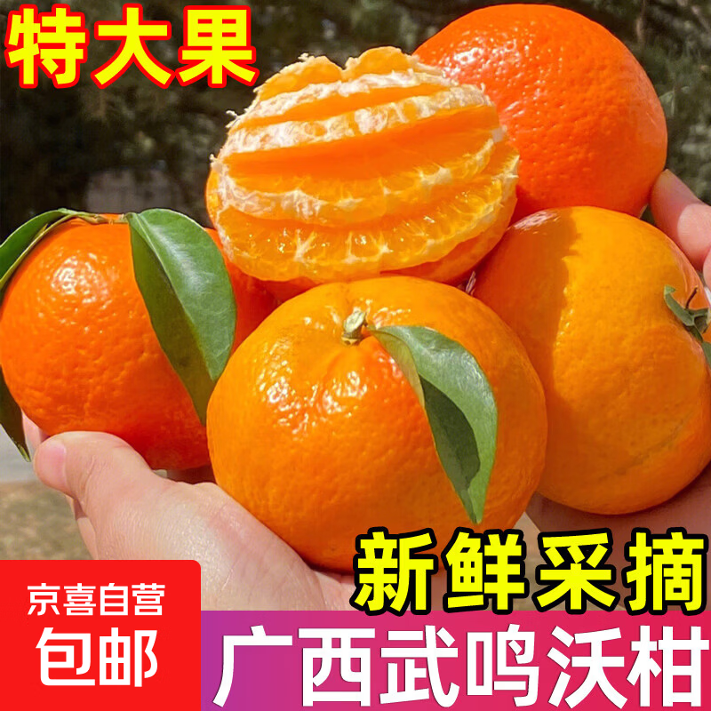 广西武鸣沃柑新鲜当季水果大果桔子皇帝蜜橘砂糖柑橘整箱京东物流 带箱2斤大果【新鲜采摘产地直发】