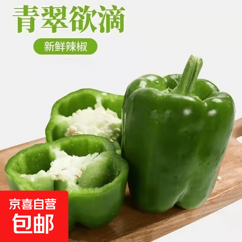 山东新鲜现摘太空椒圆辣椒生吃青椒蔬菜灯笼椒不辣即食新鲜绿菜椒 新鲜圆椒带箱1斤