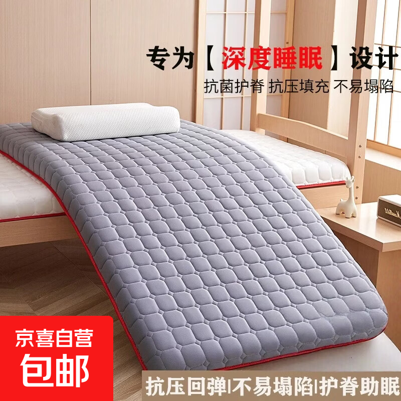 床垫家用软垫卧室褥子榻榻米床褥垫宿舍学生单人垫被租房专用 图案灰【学生床-约5cm】 1.2x2.0m