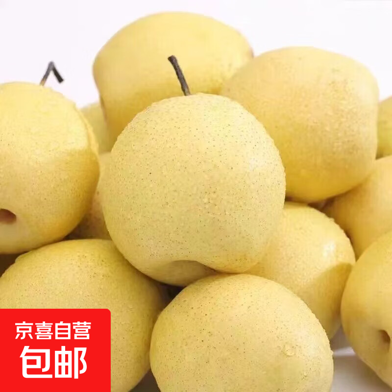 京喜加赵县雪花梨河北雪花梨晋州雪花梨【适合煲汤】13 带箱2斤净重1.6-1.8斤
