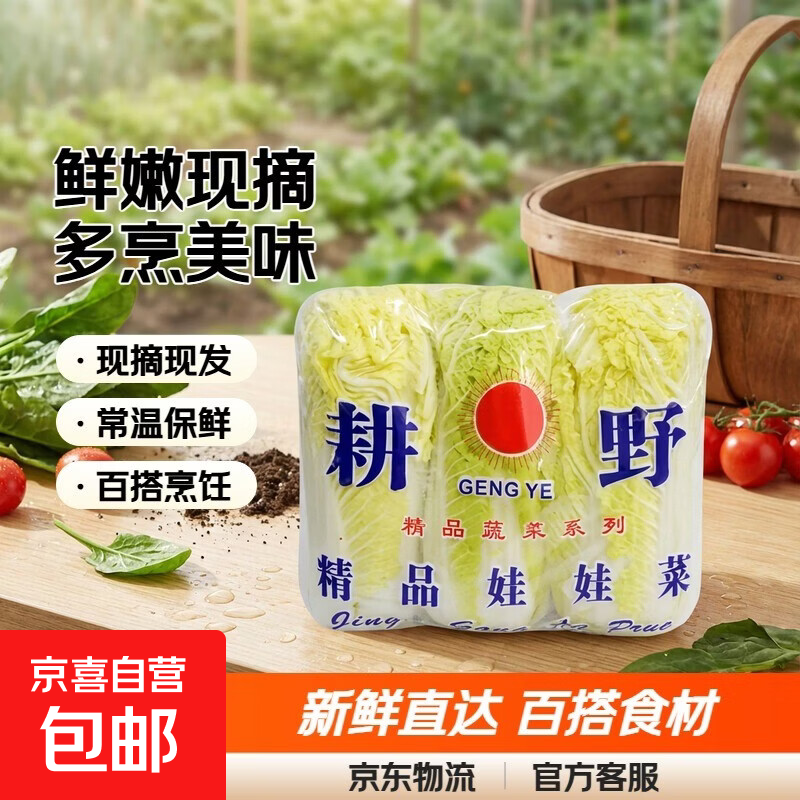【东东农场专供】新鲜娃娃菜小白菜蔬菜生鲜现摘现发火锅打边炉 娃娃菜1包*（3颗）