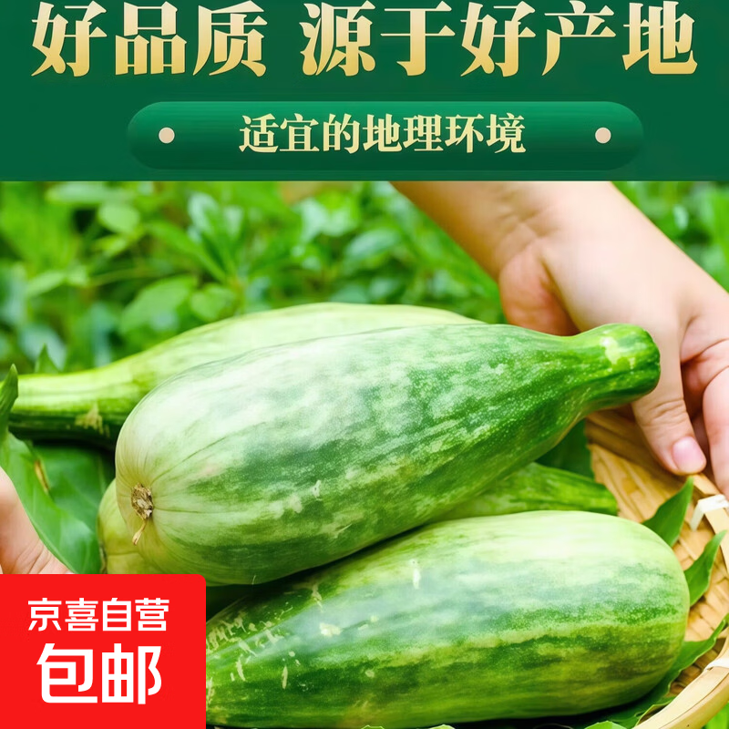 羊角蜜甜瓜蜜瓜应季脆瓜正宗山东水果新鲜 羊角蜜甜瓜-净重4.5-5斤【6-8个装】