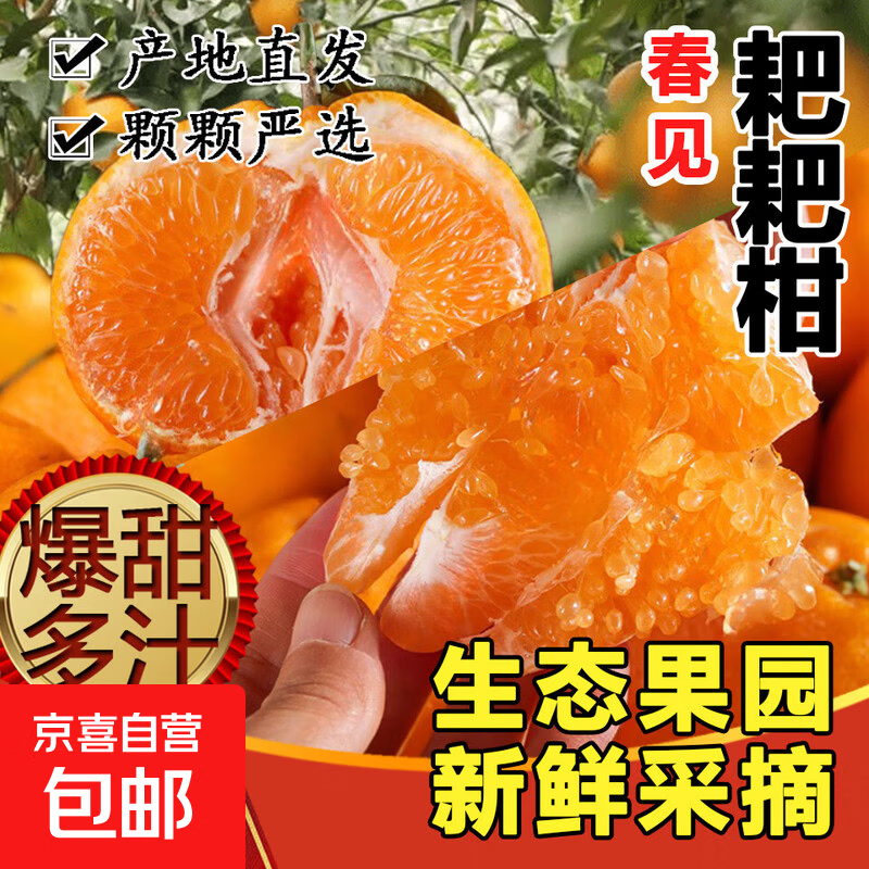春见耙耙柑   汁水丰盈   粒粒爆汁 毛重5斤装（净重4.6斤） 精品(70-80+)mm