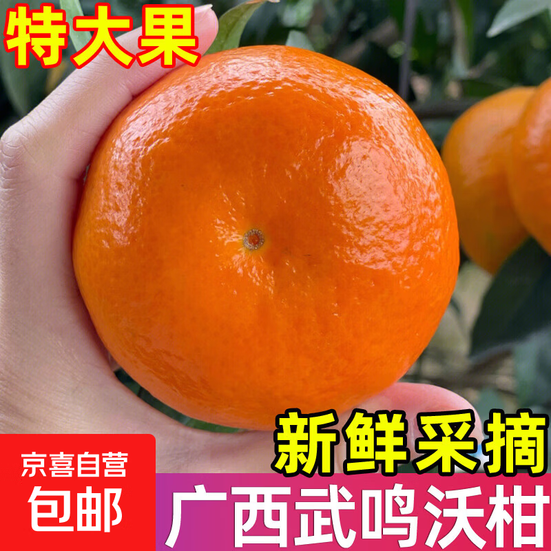广西武鸣沃柑新鲜当季水果大果桔子皇帝蜜橘砂糖柑橘整箱京东物流 【超值】带箱9斤果王（约净重8.6斤）