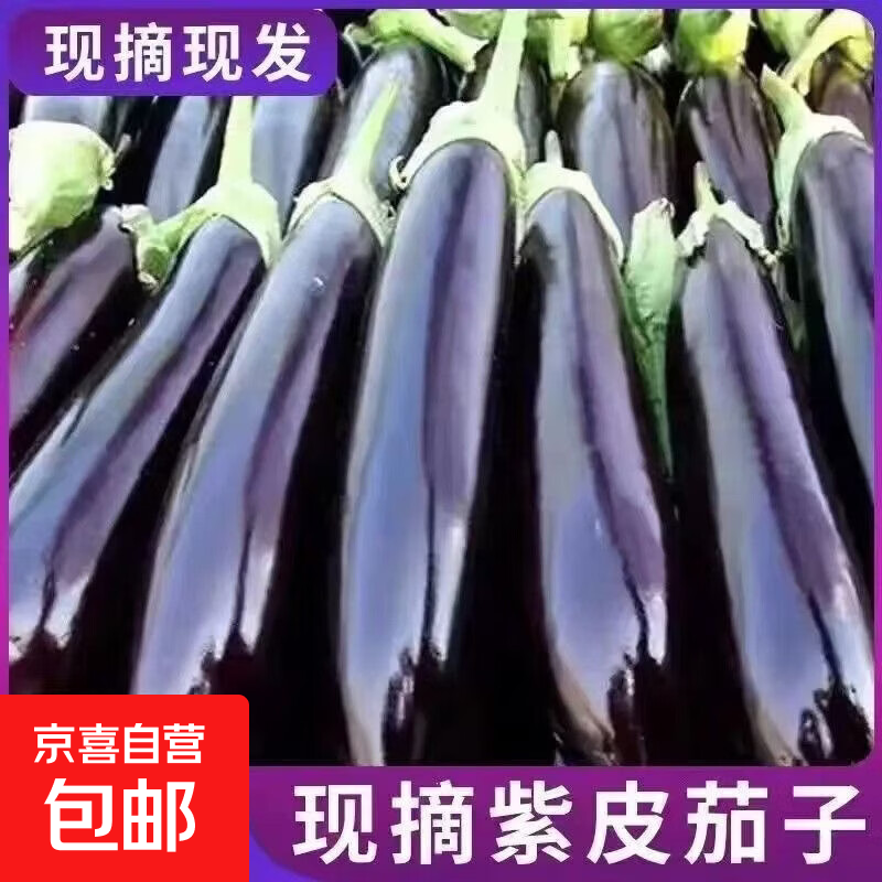 辽宁海城农家自种绿把紫皮长茄现摘现发新鲜嫩茄蔬菜 精选辽宁长茄带箱 2斤