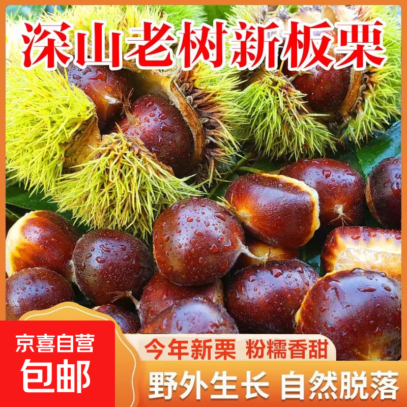 京喜加【东东买菜】丹东高山板栗老树菜栗生鲜新鲜蔬菜水果可生吃零食 高山板栗新货 1斤 尝鲜款