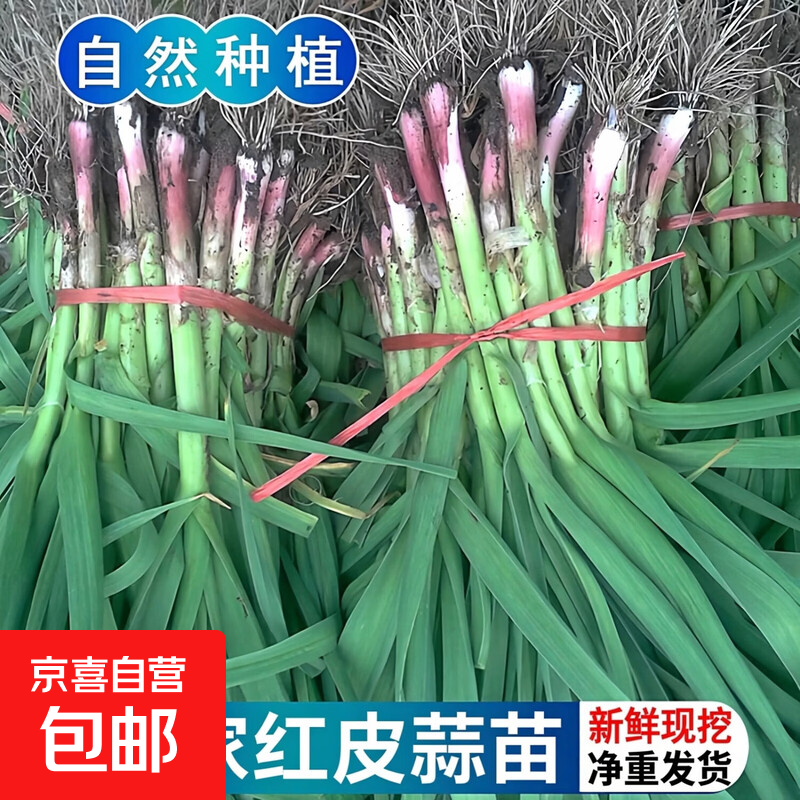 ���ڲ�����ɽ���������������Ƥũ�����ֺ��ˬ��ʱ������Ӧ���߲� 1����� 0.8� 4.9Ԫ