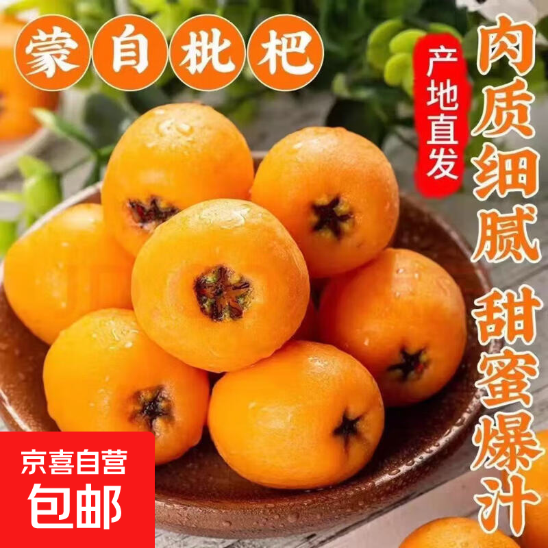 京喜加正宗云南蒙自高山五星长虹甜枇杷新鲜采摘孕妇止咳化痰水果 1斤试吃装（单果重15克+）