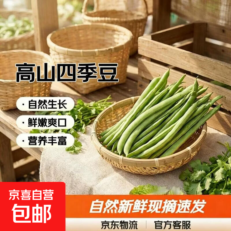 京喜加云南高山新鲜四季豆圆青豆农家蔬菜新鲜现摘蔬菜生鲜 带箱1斤
