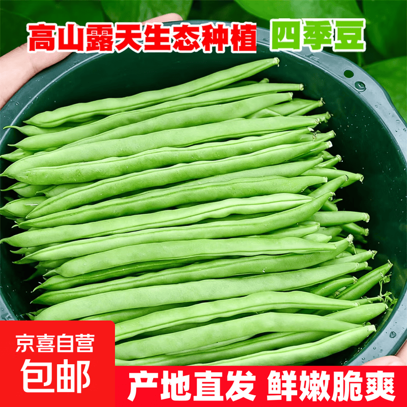 【东东买菜】云南四季豆现摘脆嫩豆青豆角当季新鲜蔬菜产地批发 带箱2斤【实惠装】