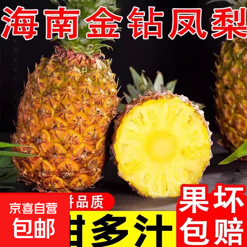 【直播专享】海南金钻凤梨新鲜现摘水果产地直发包邮整箱批发 超甜小果（单果0.8-1.3斤） 【尝鲜】1粒装