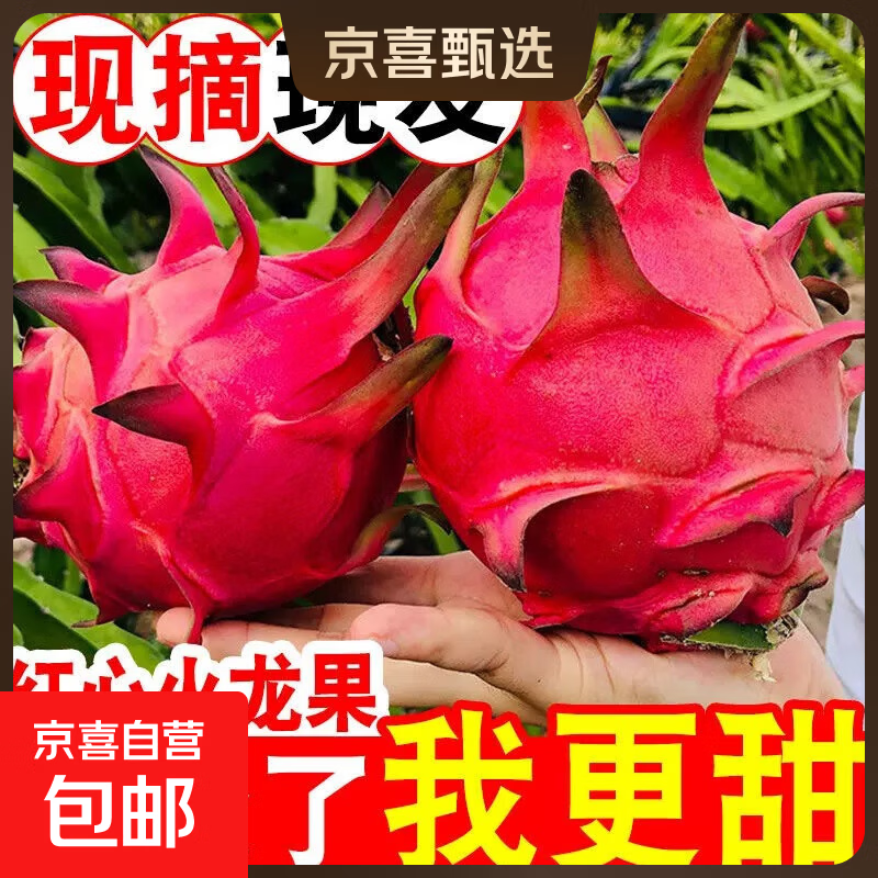 【直播专享】金都一号红心火龙果超甜应季新鲜水果 2粒装（单粒200g+）