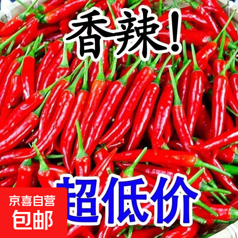 云南新鲜小米辣椒小米椒超辣五七彩辣椒指天椒特辣蔬菜农家自种 【尝鲜】 100g