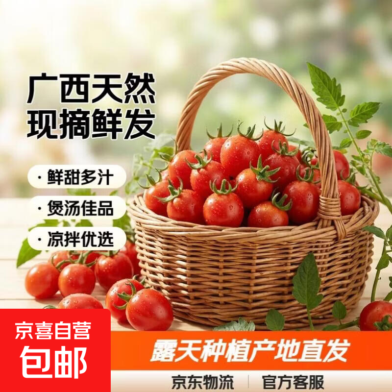 广西天然圣女果樱桃小柿子露天种植现摘现发产地批整箱批发价 带箱3斤 3斤