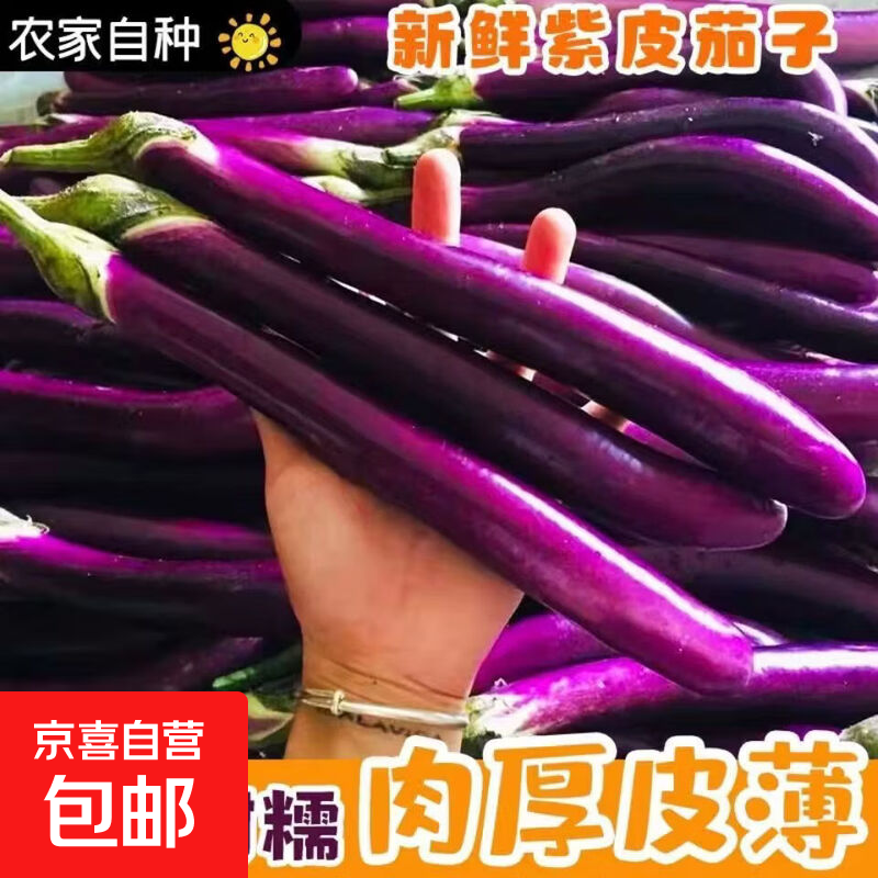 【东东买菜】福建高山线茄子原生态线茄产地新鲜现摘紫长茄批发价 704线茄带箱3斤 3斤