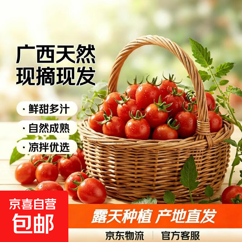 广西露天圣女果樱桃小番茄即食水果西红柿新鲜蔬菜应季整箱批发价 带箱5斤 4.5斤 净重