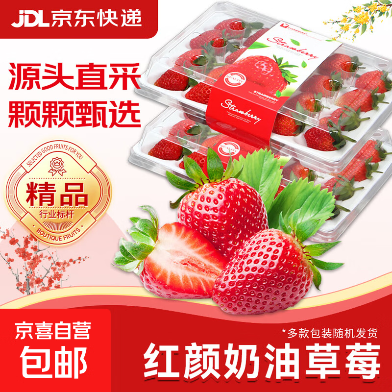 大凉山红颜草莓99牛奶油草莓【多地次日达】非丹东草莓水果礼品盒 4盒礼箱装【80%人选-自食推荐】 15枚甄选果【单果12g+】
