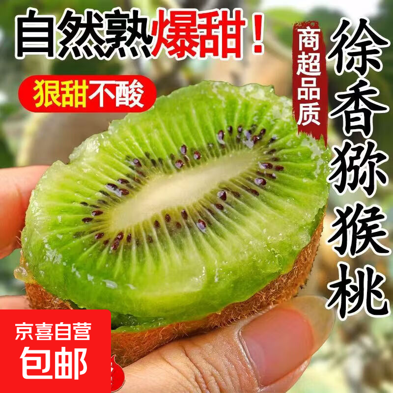 【爆款热卖】陕西徐香猕猴桃新鲜当季孕妇水果批发正宗猕猴桃 正宗徐香猕猴桃15枚