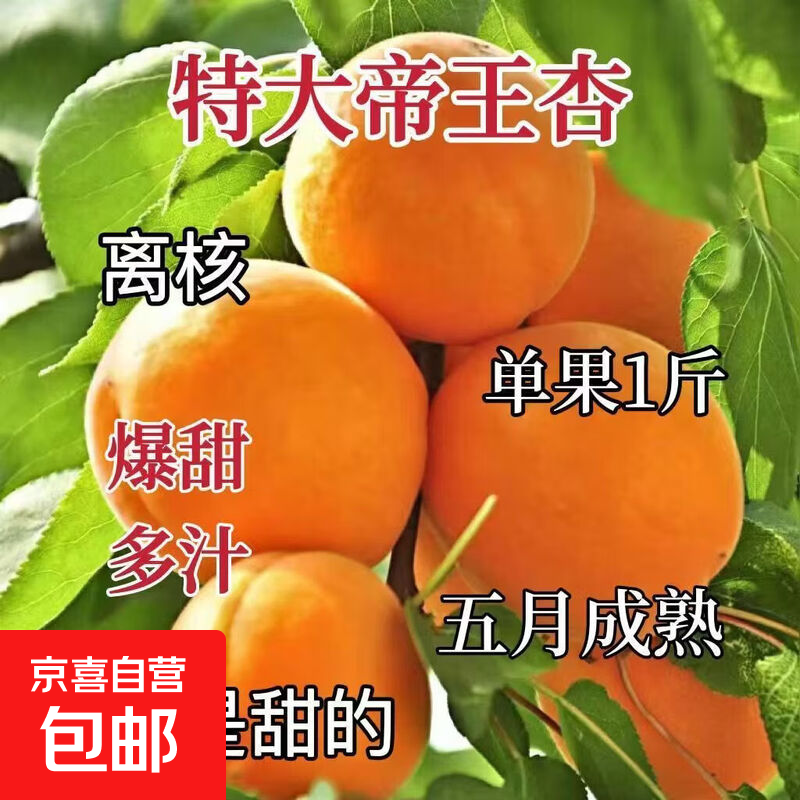 ��������޽��ش��������������������Ϸ�������ֲ�ͺ������� ������ 6���硾������׳�硿