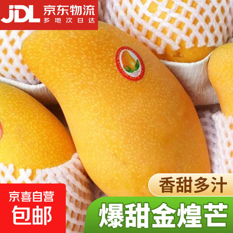 海南芒果金煌芒水仙玉芒果青皮大芒果甜心芒新鲜水果送礼 净重2斤装 【一人食】 甄选特级果【单果250g+】