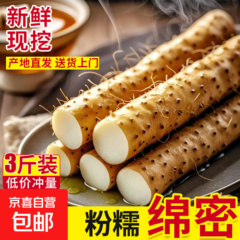 铁棍山药麻山药产地直发养生垆土山药现挖儿童辅食孕妇 河北铁棍山药3斤净重 20-30cm