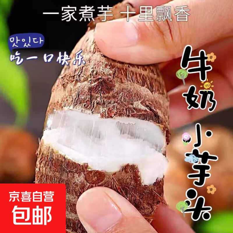 正宗山东牛奶小芋头毛芋头芋艿香糯新鲜现挖当季蔬菜整箱批发好吃 牛奶小芋头带箱2斤