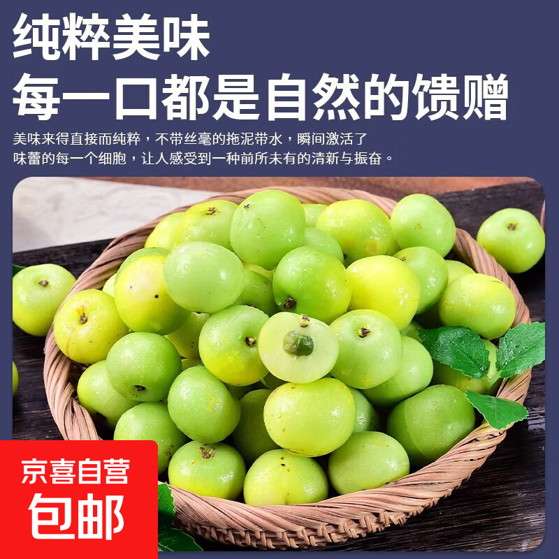 潮州高山油柑果余甘果牛甘果滇橄榄当季水果口感甘甜生津解渴无渣 潮州高山油柑果  2斤【划算】净重1.8斤
