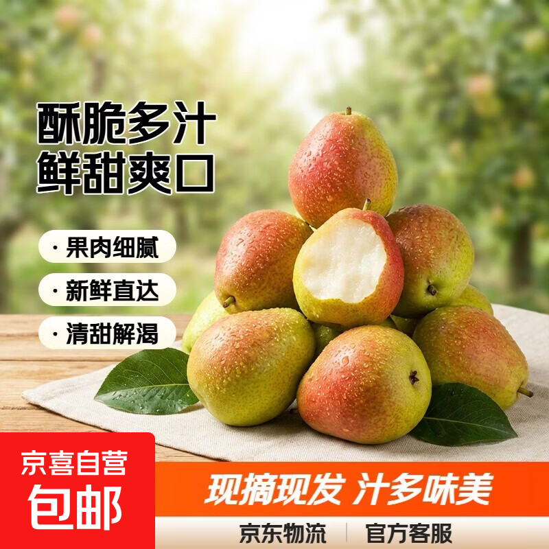 国产红香酥梨脆甜多汁新鲜梨子红香酥梨喜田1 红香酥梨带箱2斤