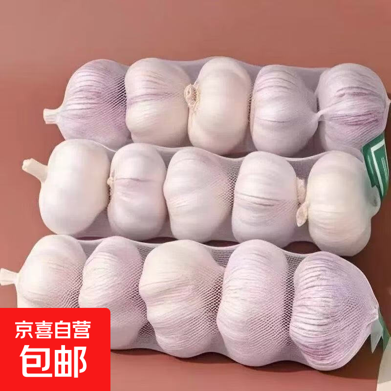 【东东买菜】山东出口大蒜头网兜紫干蒜批发红皮蒜特级新鲜特大果 【精品网兜装】5头装0.37g