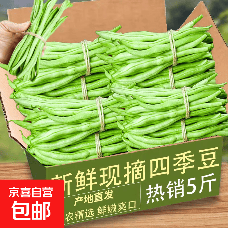 【东东买菜】云南高山四季豆小金芸豆露天豆角筋豆现摘时令菜 带箱 2斤（净重1.8斤）