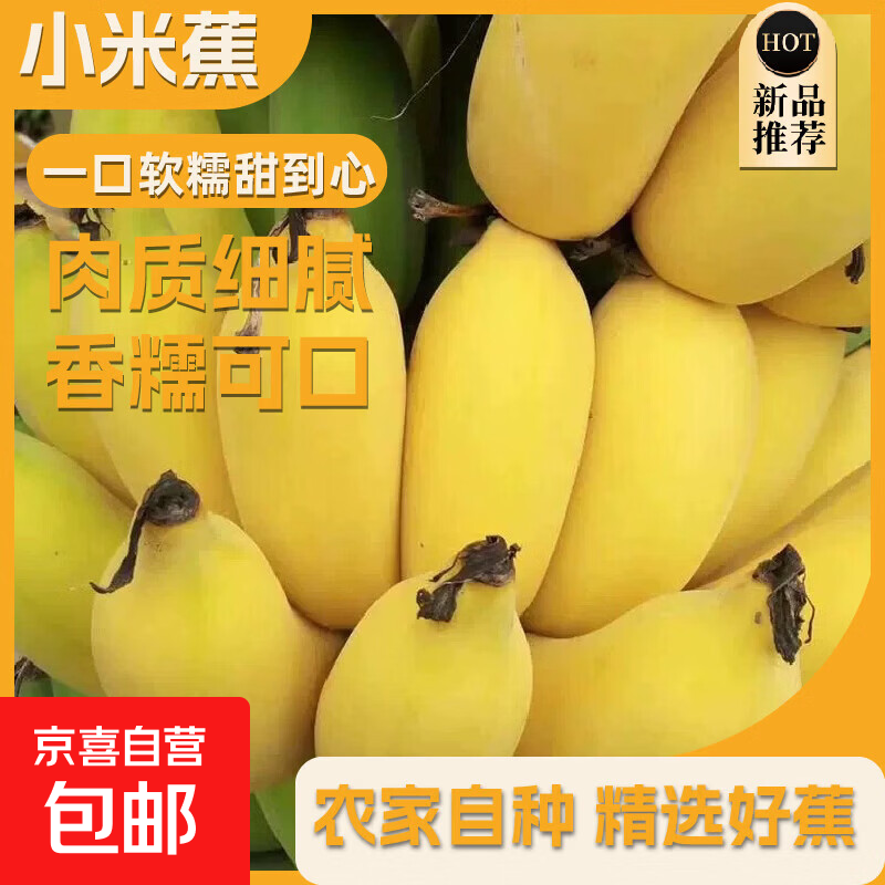 小米蕉带箱9斤 17.99元 - 86线报