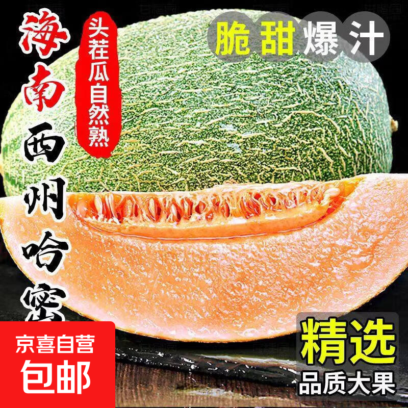 海南西州蜜瓜  脆甜多汁软糯香甜蜜哈密瓜 新鲜应季生鲜水果整箱 海南哈密瓜2.5-3斤（1-2个）