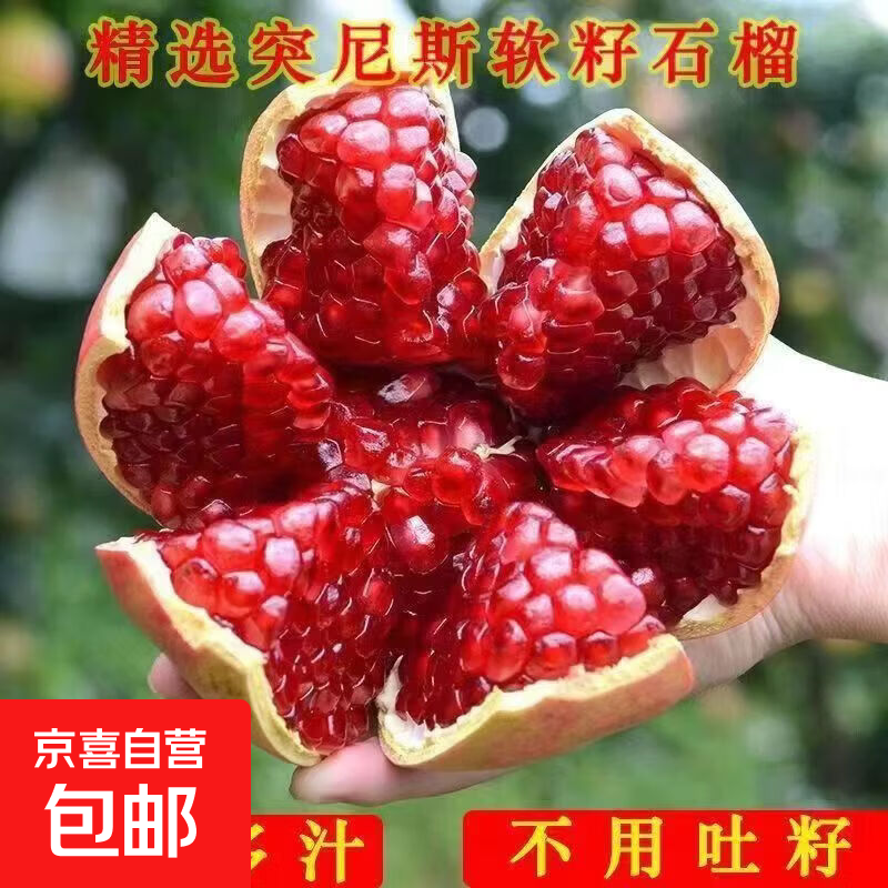 ʯ��������������ʯ����ͥԺ���Ե��Թ�����ͻ��˹ʯ������ ͻ��˹ʯ�� 15����磨����ࣩͥԺ��